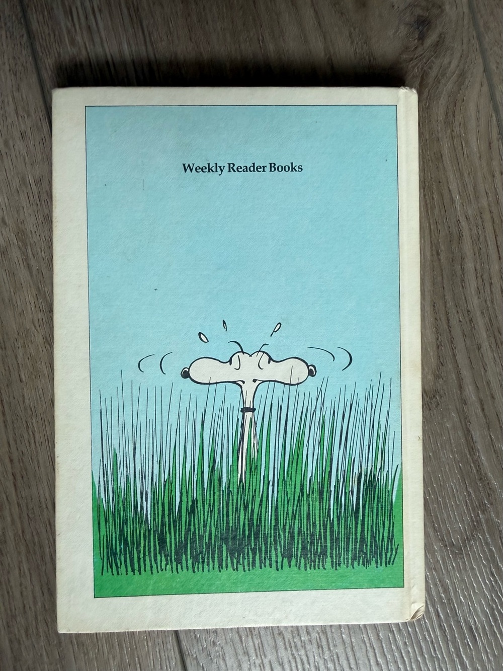 Vintage Snoopy Peanuts Book - Picture 2 of 5